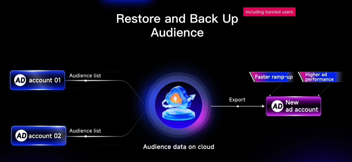 Audience Recovery process example diagram